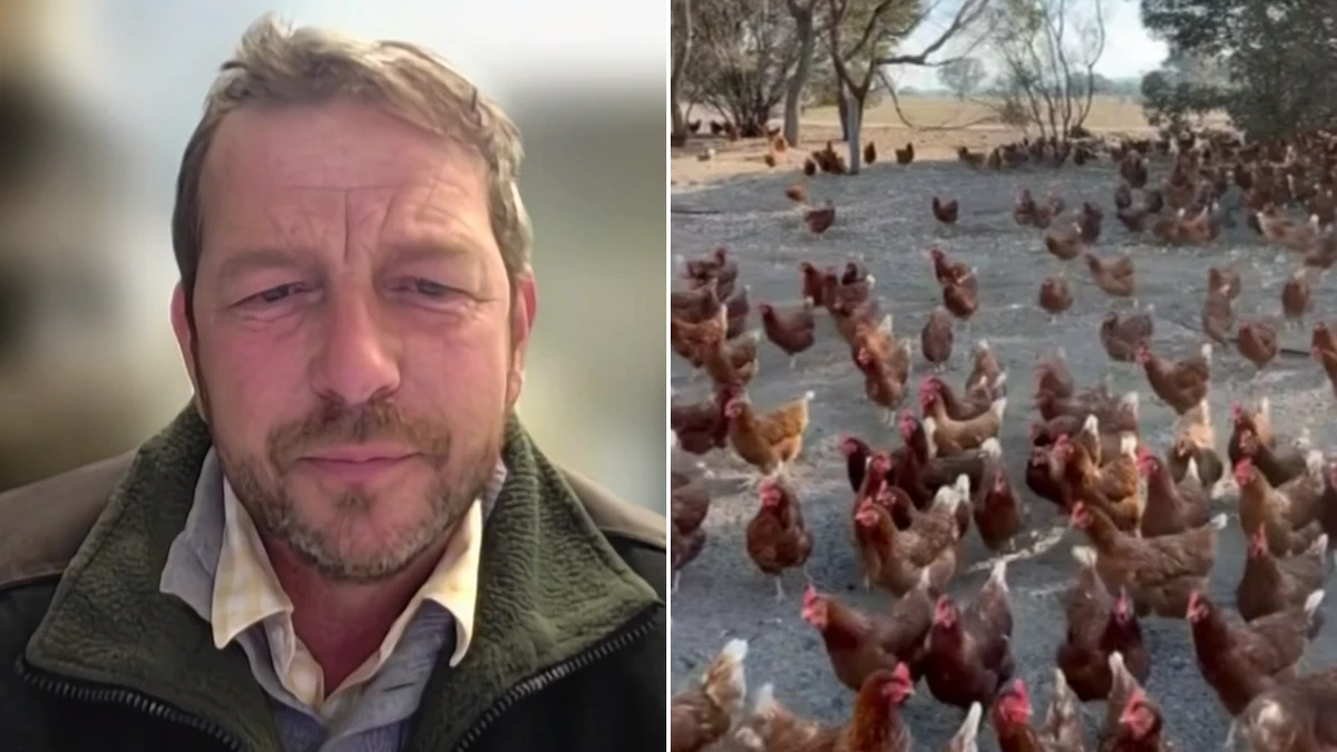 WA farmers ‘very concerned’ as second bird flu case confirmed