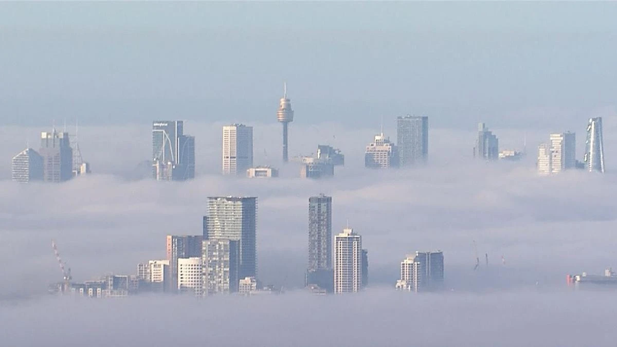 Travellers warned to expect delays as thick fog blankets Sydney