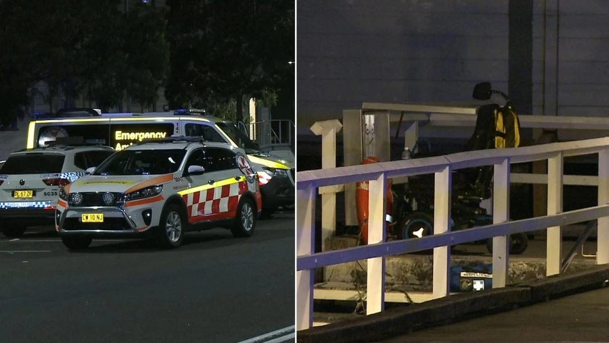 Wheelchair user drowns after falling into Sydney Harbour