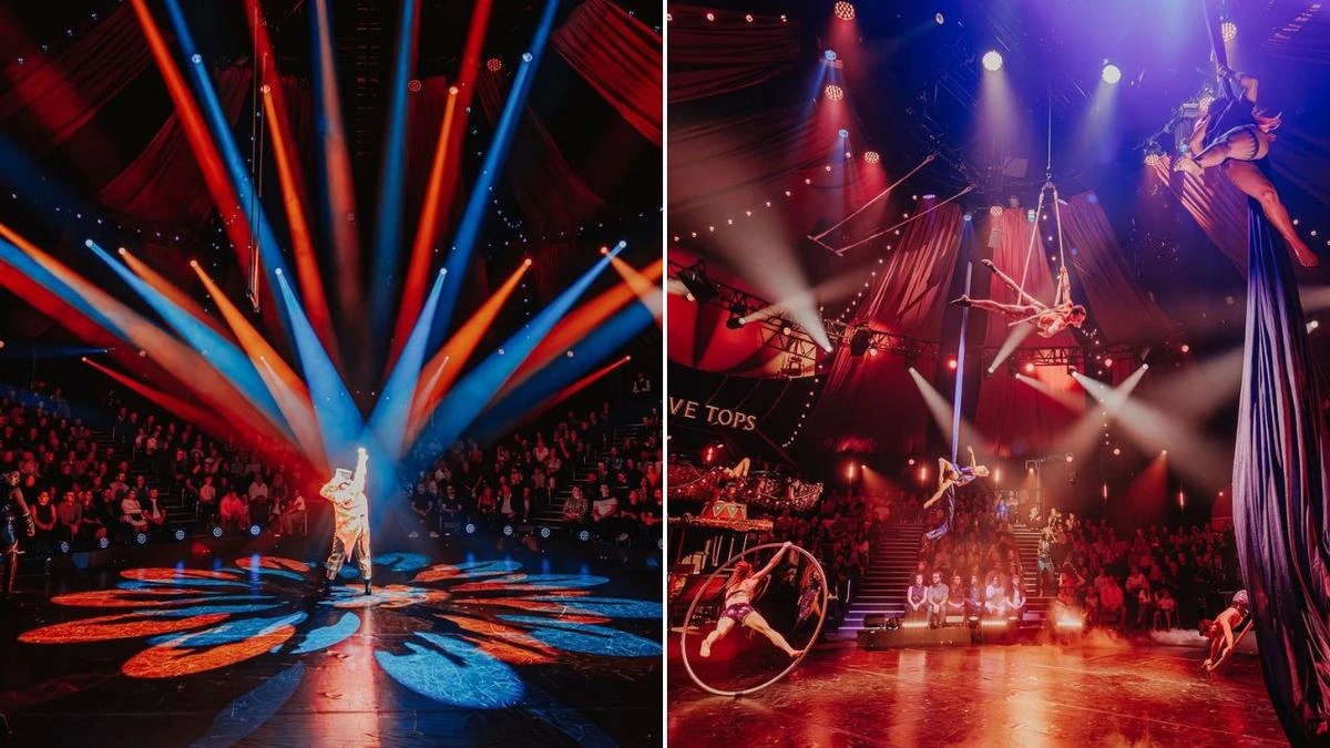 Outrage as front-row seats switched, resold as VIP amid ‘accessibility excuse’ claims
