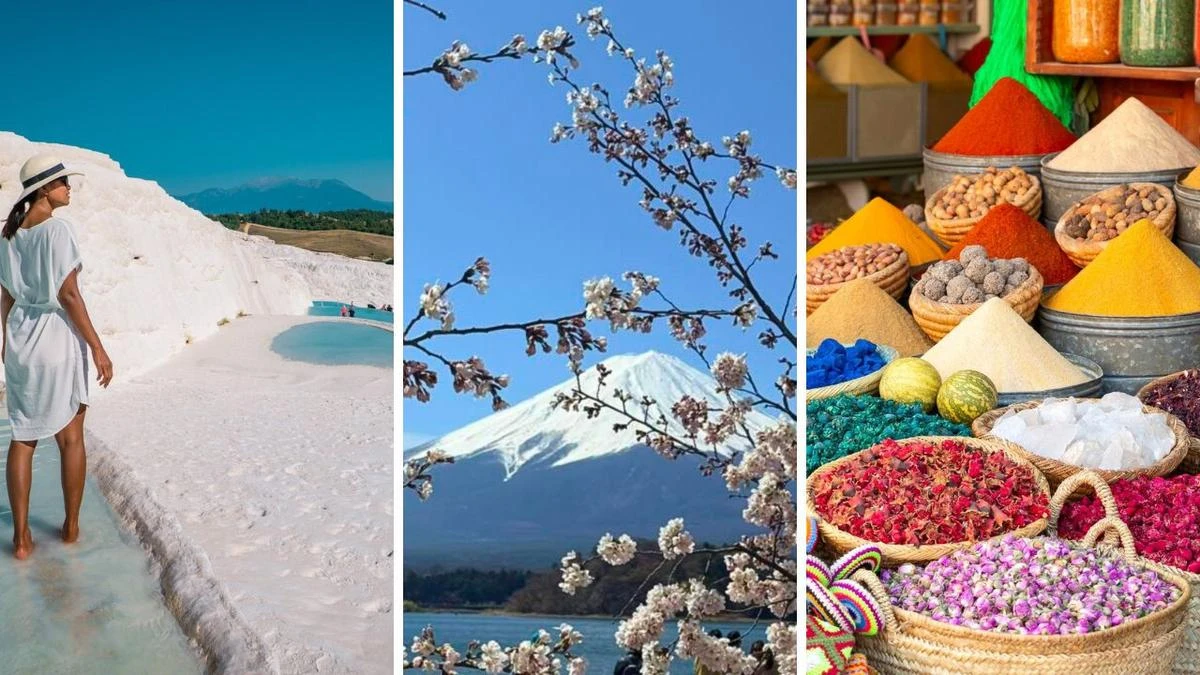 Award-winning travel tour company offering up to $4000 off your next international trip