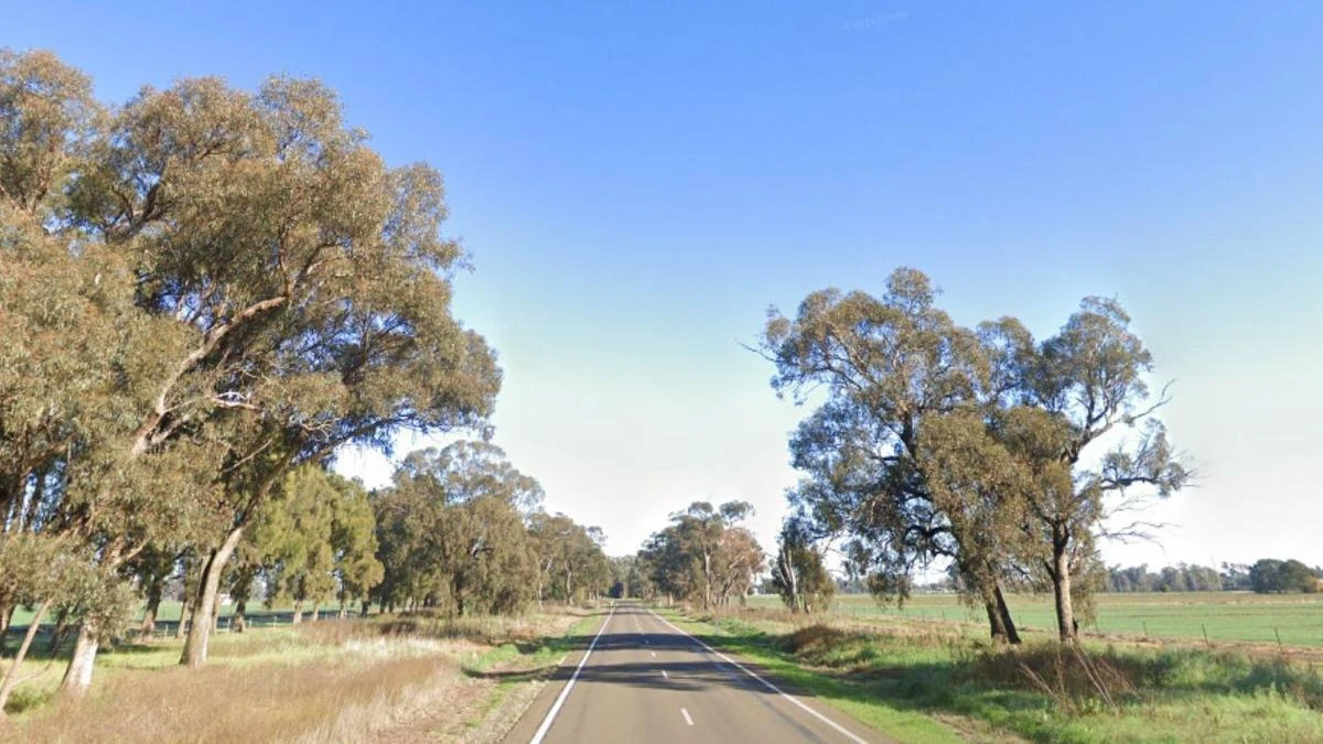 Woman dies after car veers off road and slams into tree
