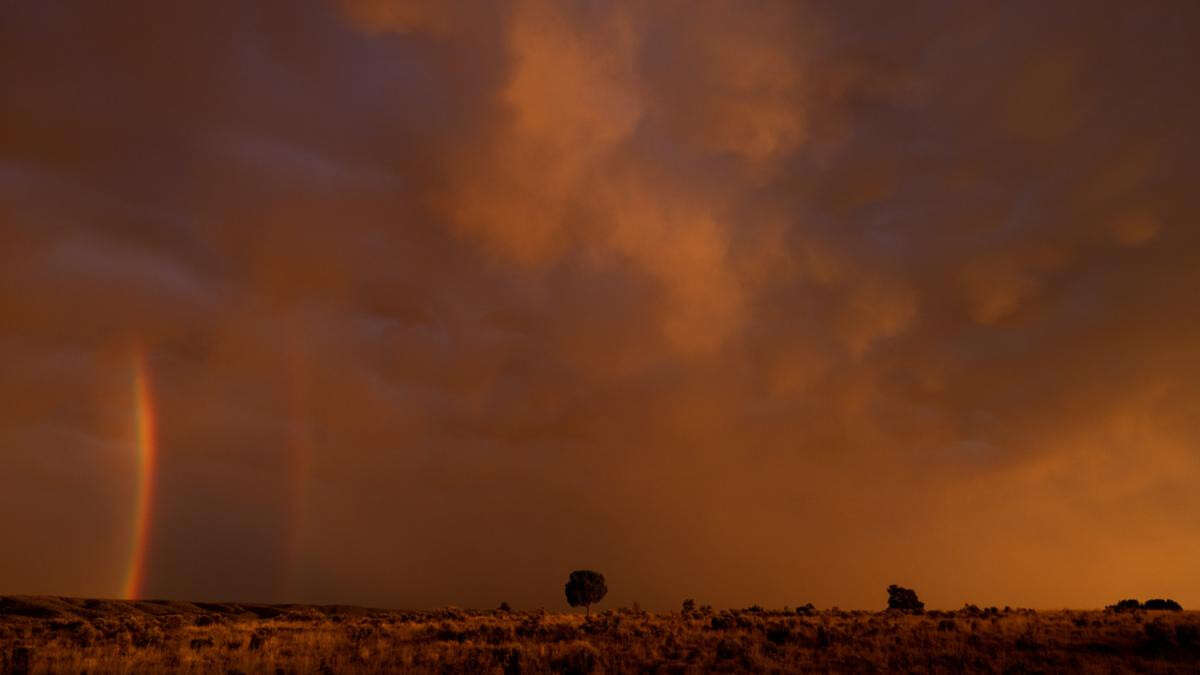 Missing children who vanished two years ago are found alive in tiny desert town