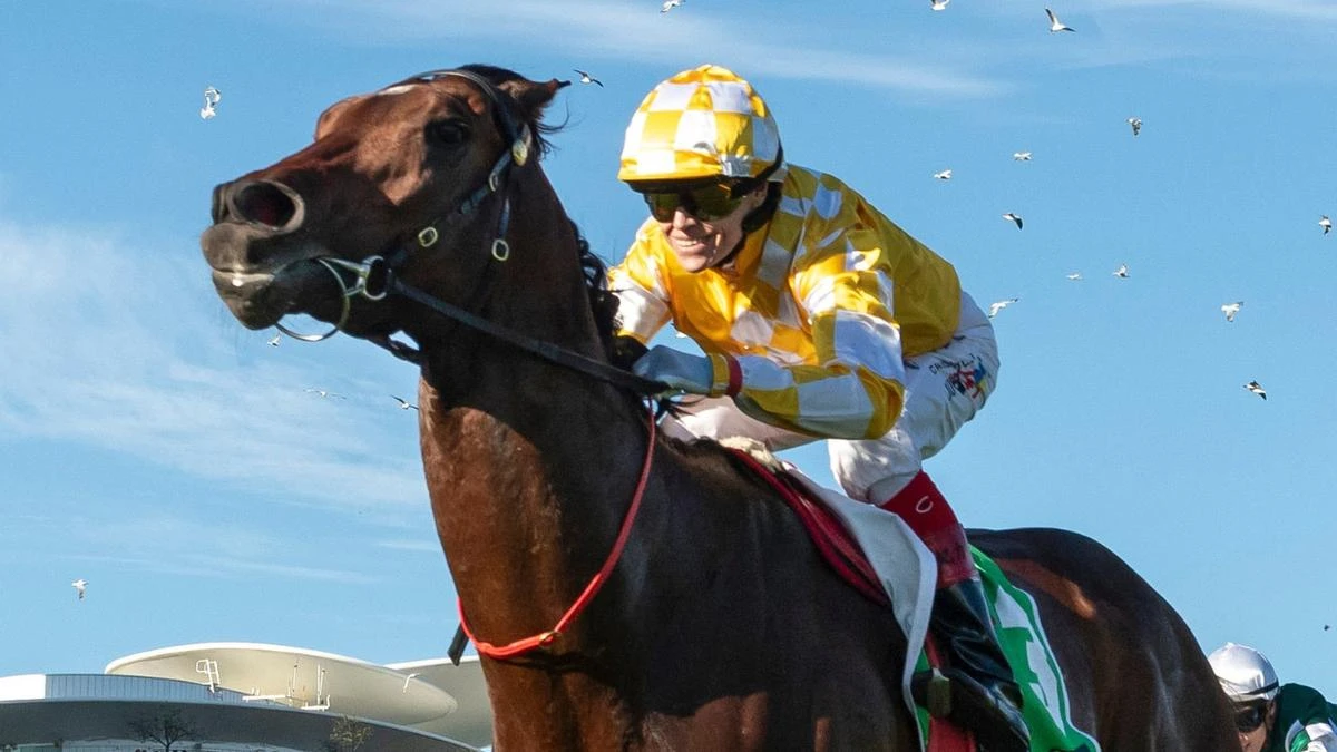 Gai Waterhouse makes call on axed Melbourne Cup favourite