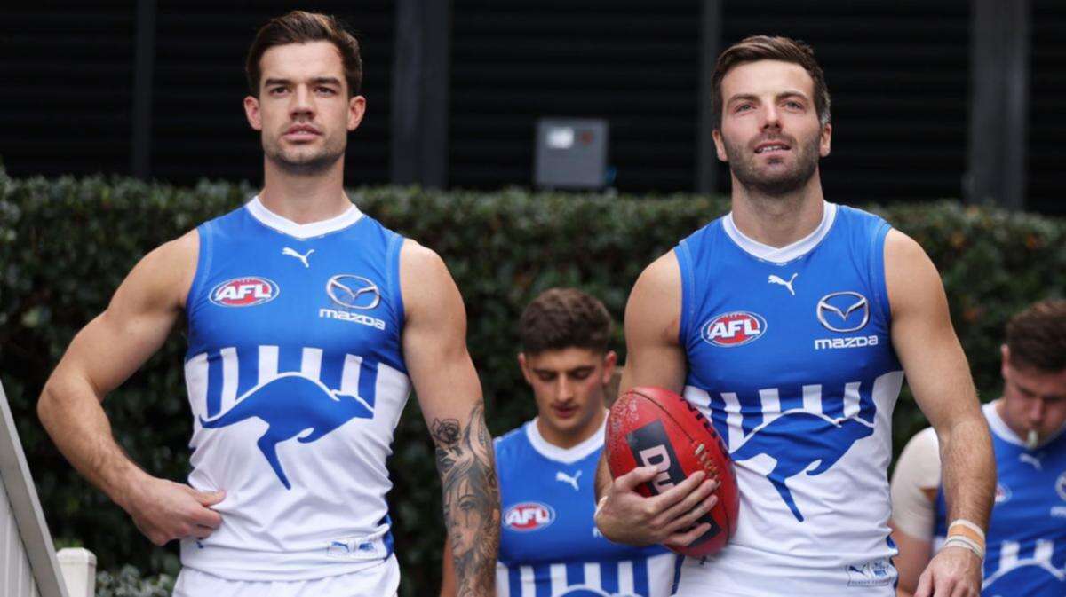 North Melbourne co-captain stands down on eve of season