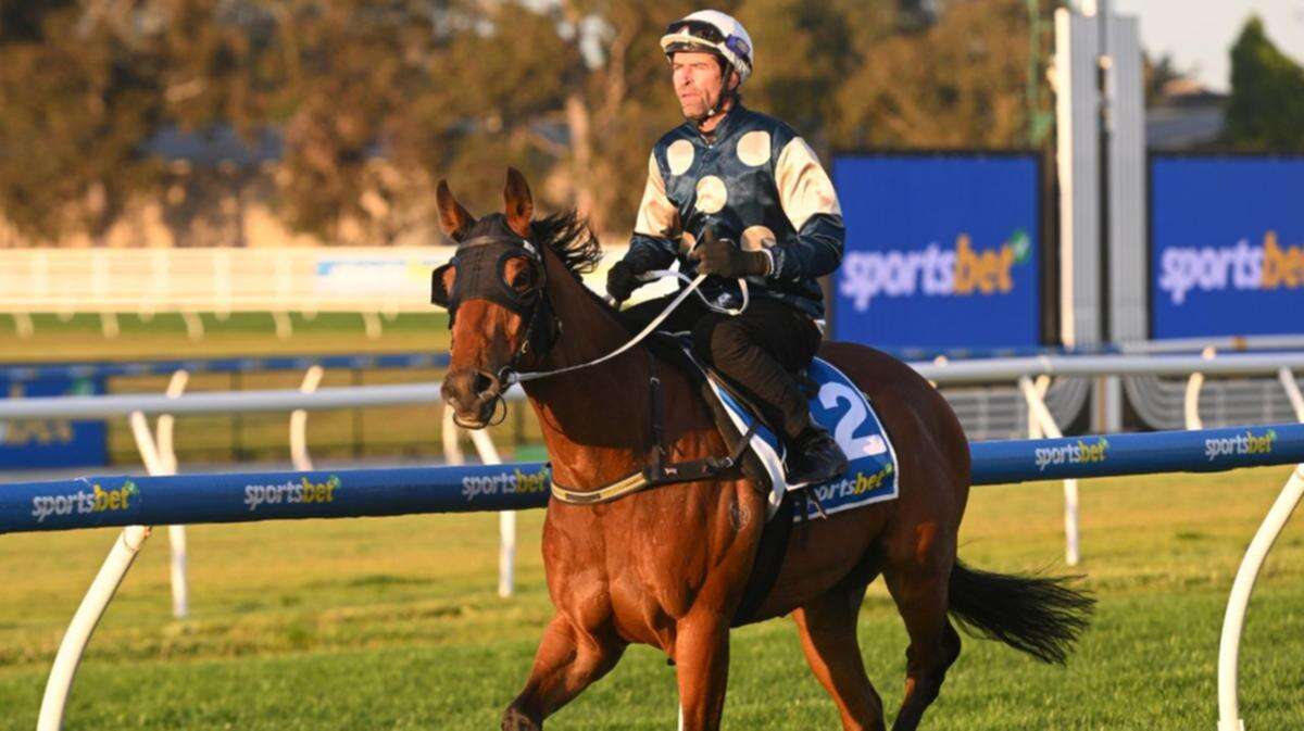 Old rivals renew hostilities in blockbuster Caulfield Cup