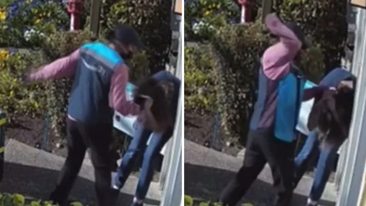 Confronting footage shows Amazon driver ferociously beating pensioner