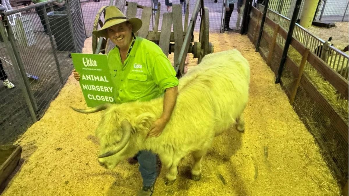 Behind closed barn doors: when the Ekka’s cuddliest stars clock off