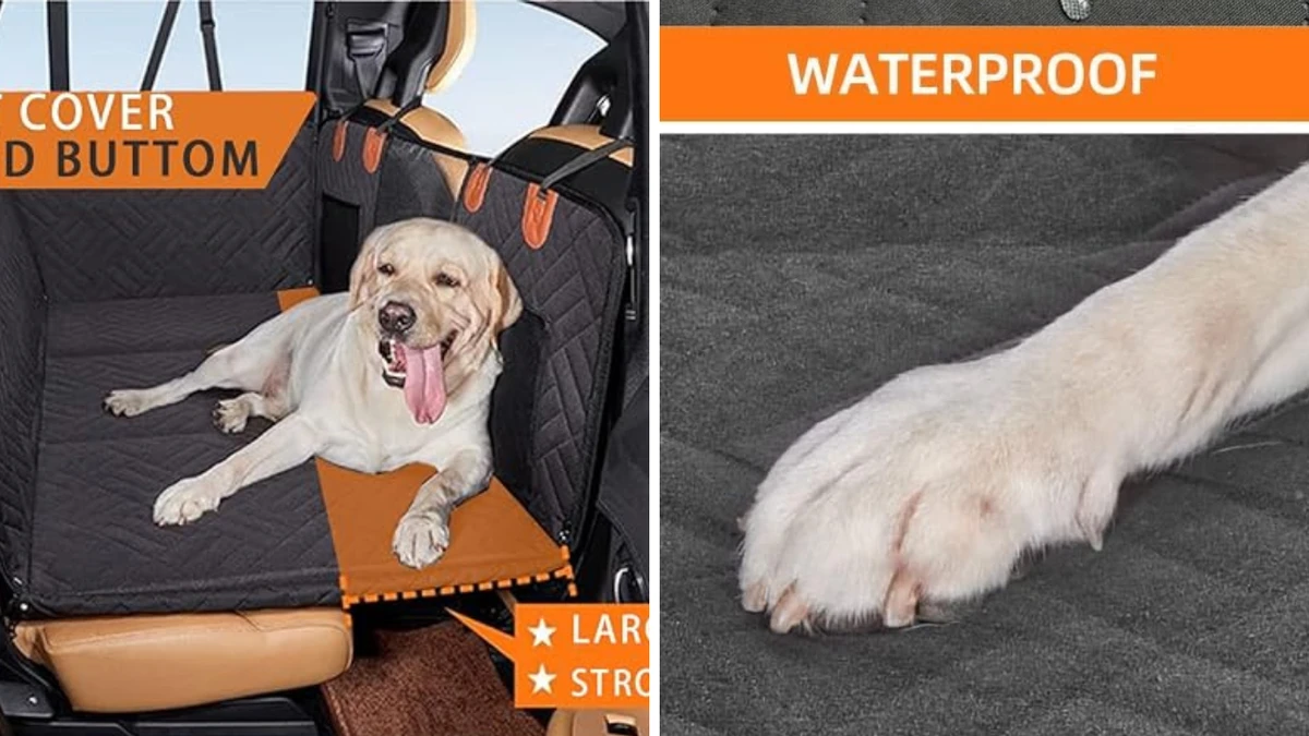 Pet owners say this waterproof dog seat is a ‘game-changer’ for wet weather