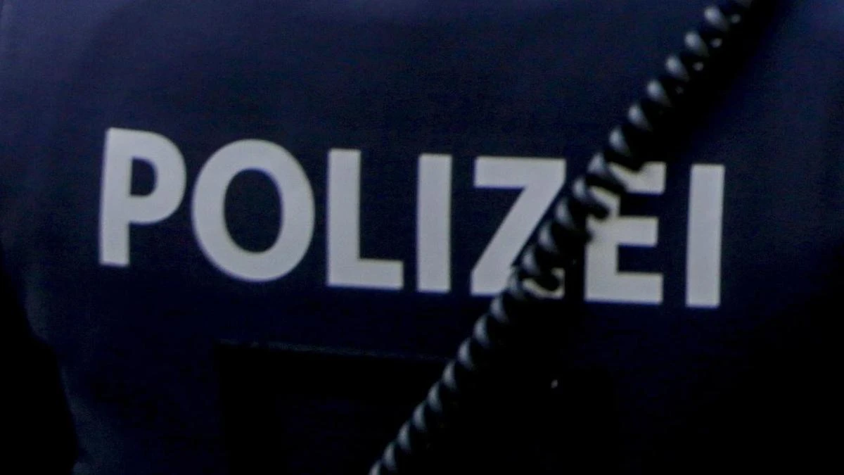 At least 10 killed and dozens more injured in Austrian school attack