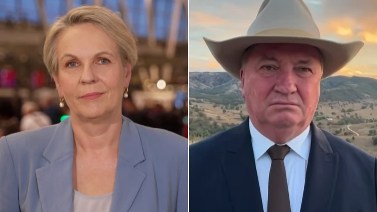 Barnaby Joyce slams Labor for ‘not telling the truth’ over budget bombshell
