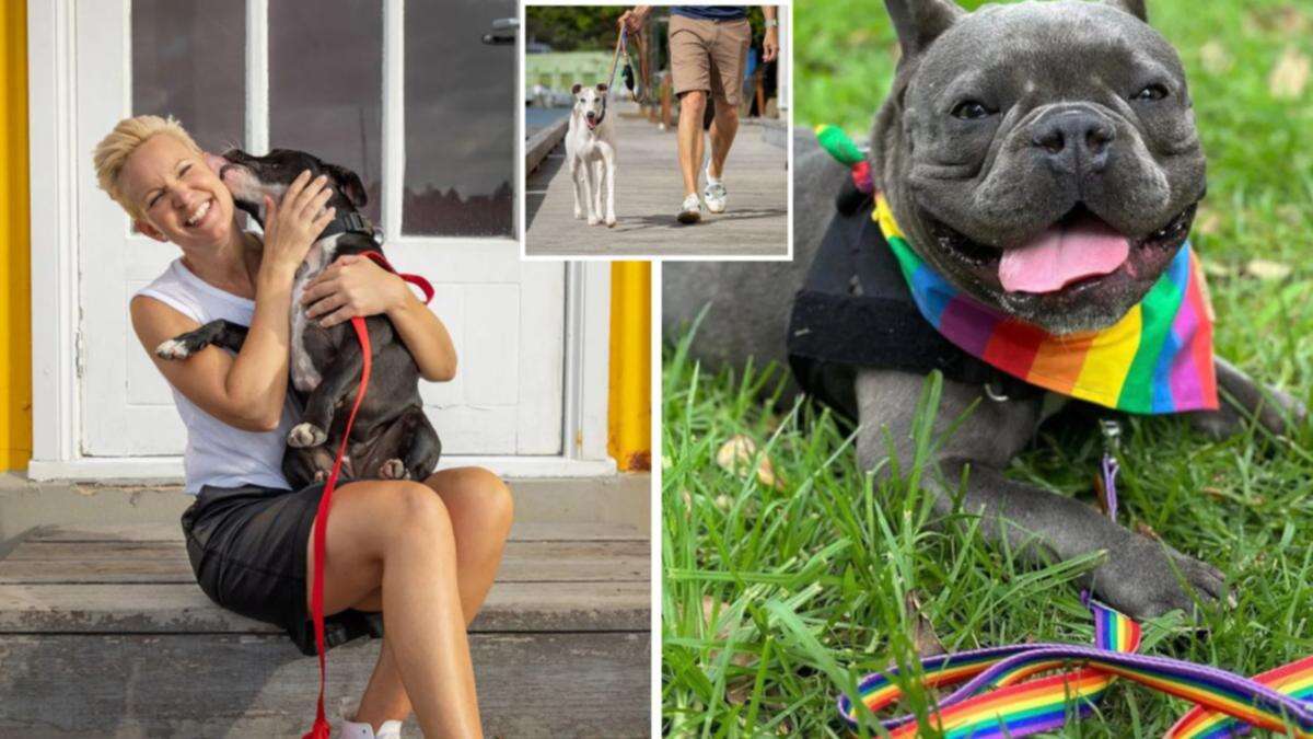 Aussie’s innovative invention makes dog walking easier: ‘The best lead my dog has ever had’