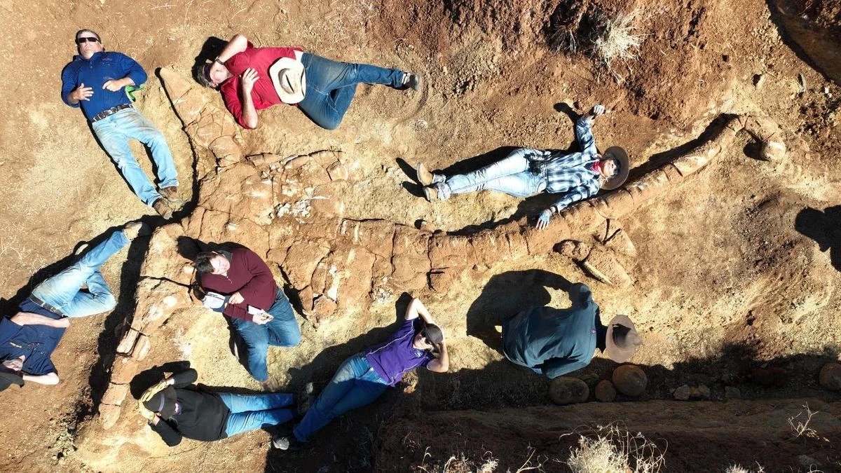 ‘Extremely rare’ giant fossil found on remote Australian property