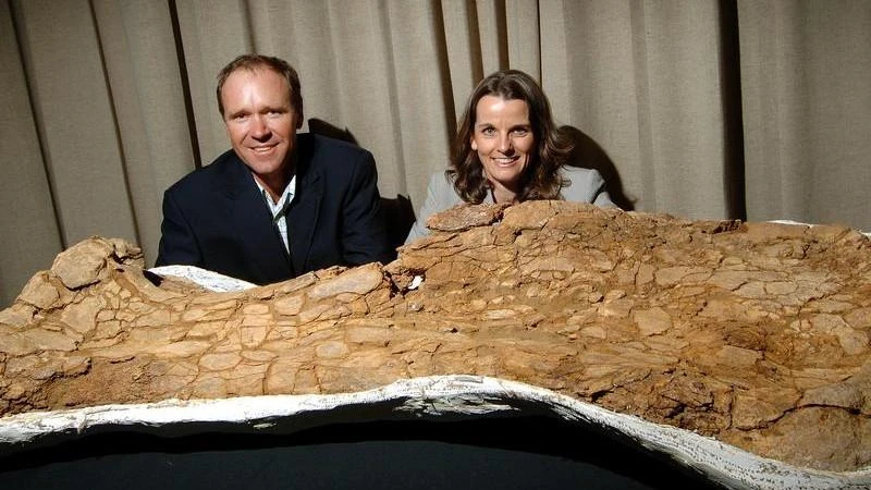 Australia's largest dinosaur found in Qld