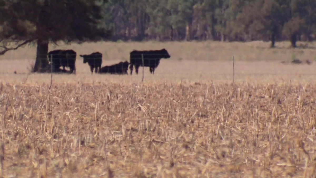 Fuel weary farmers brace for another looming threat