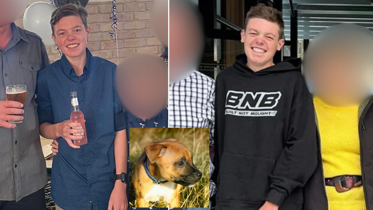 Pictured: Man who allegedly bashed and killed a puppy hours after buying it