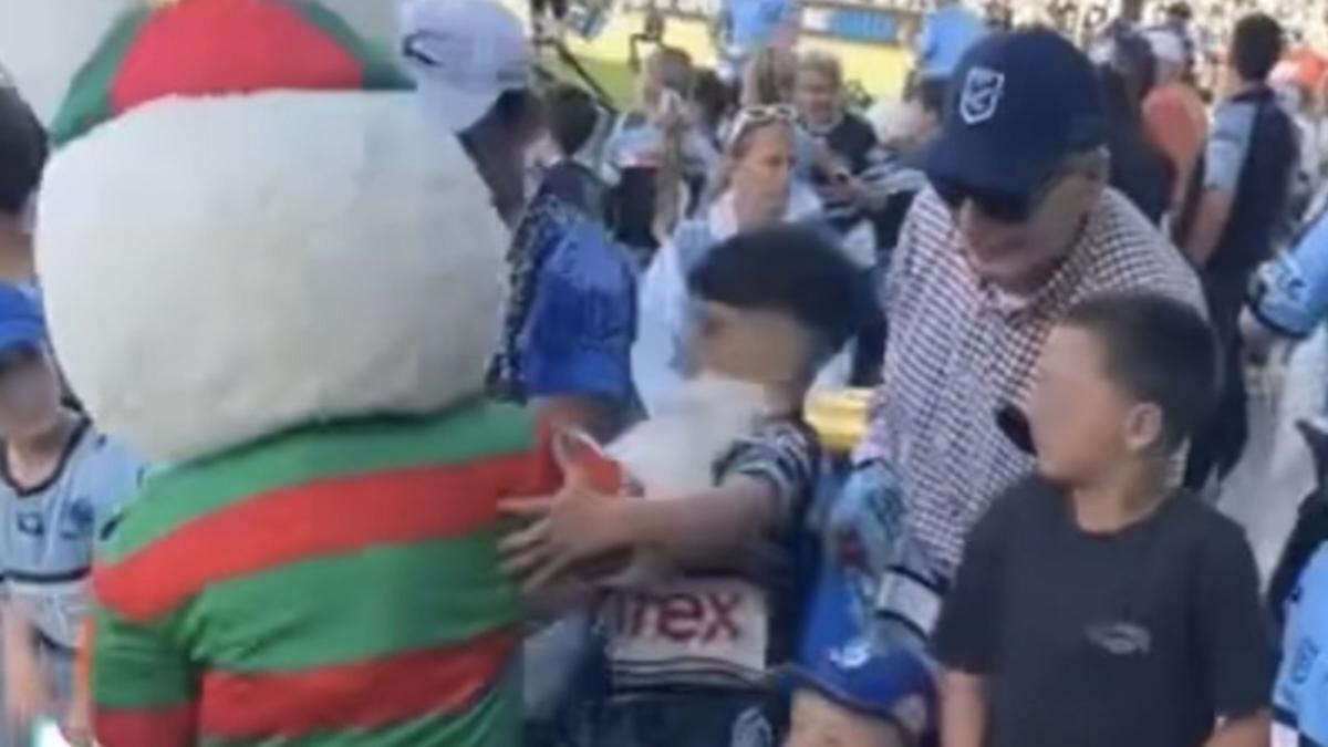 Shock moment mascot allegedly pushes young fan caught on camera