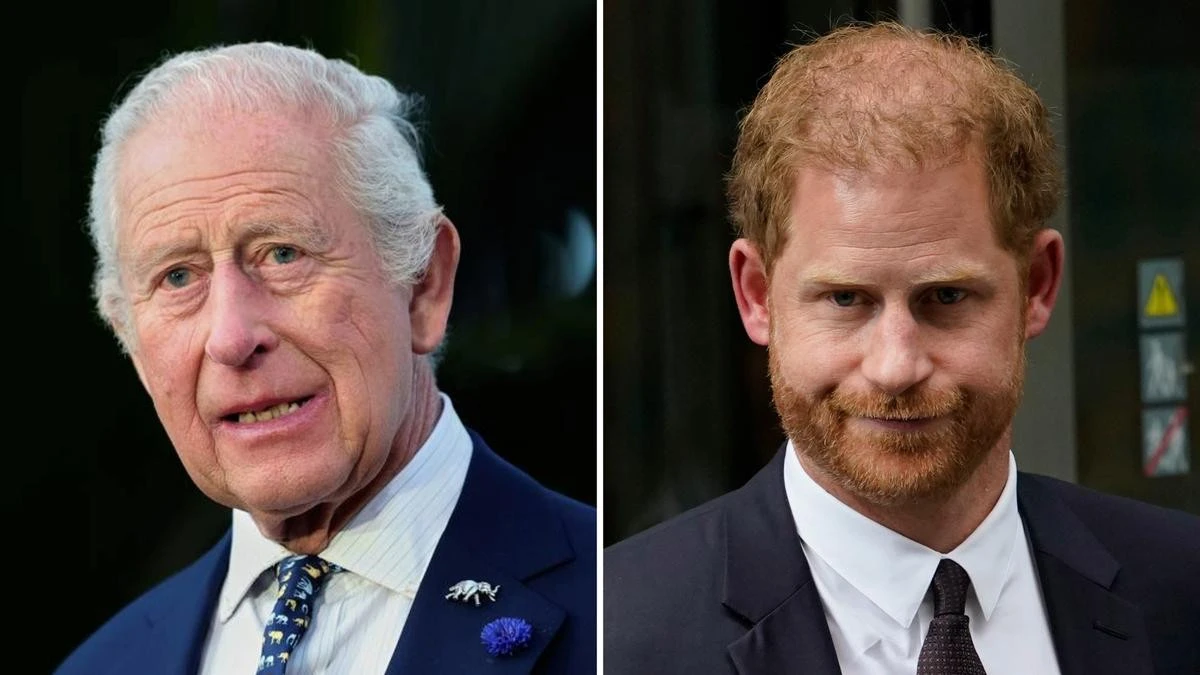 ‘It’s a mess’: Harry and Charles at war over peace plans