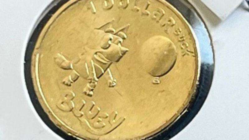 Police seek more suspects over Bluey coin heist