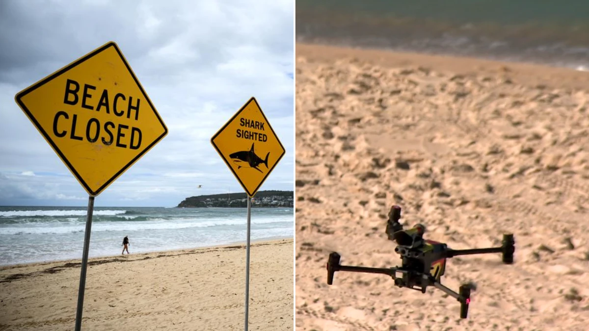 The new AI-powered technology to keep swimmers safe from sharks