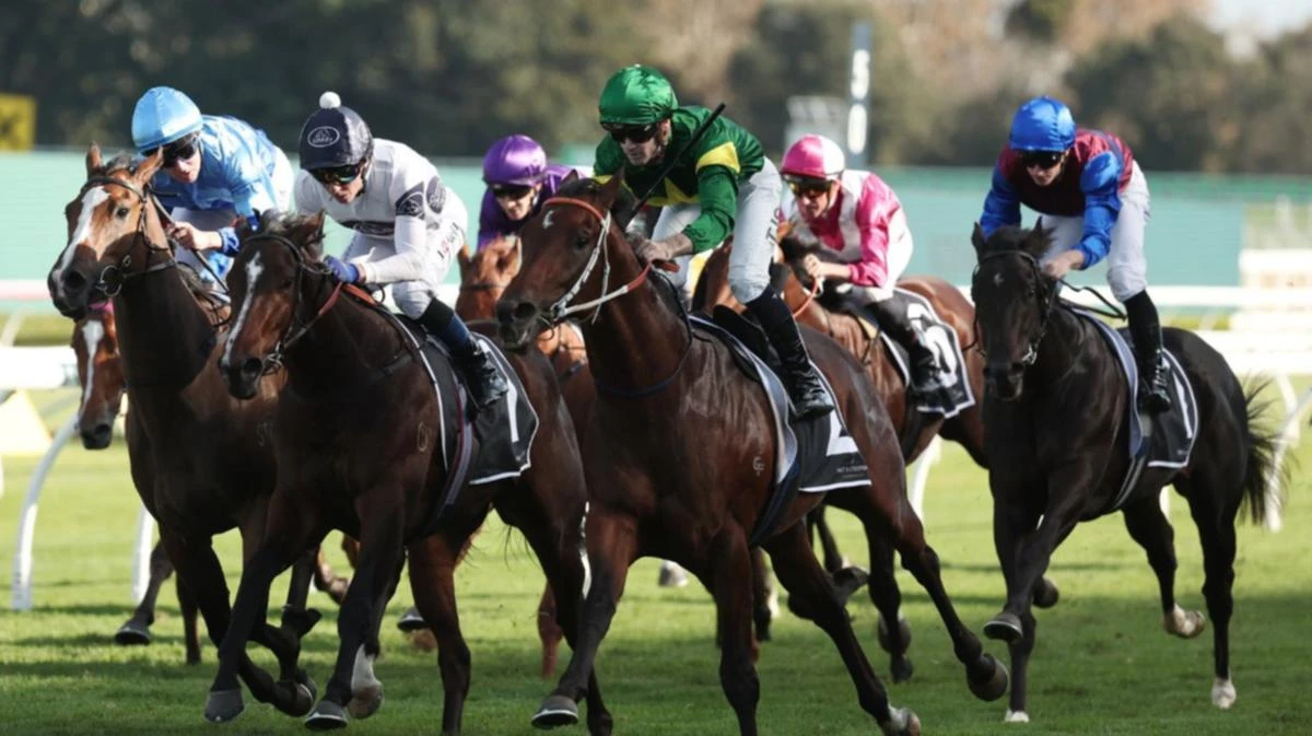 Nepotism comes from the clouds to win in Champagne stunner
