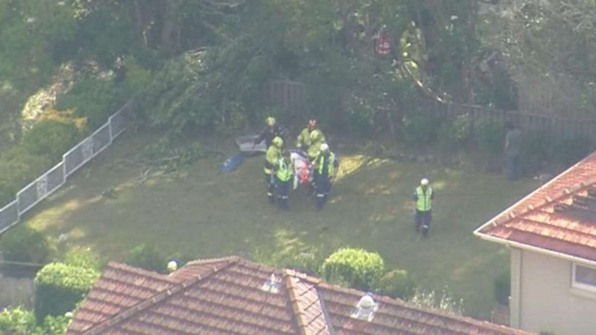 Women trapped as tree crashes out front of Sydney home