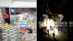 Armed robber dies after plunging five storeys to escape police