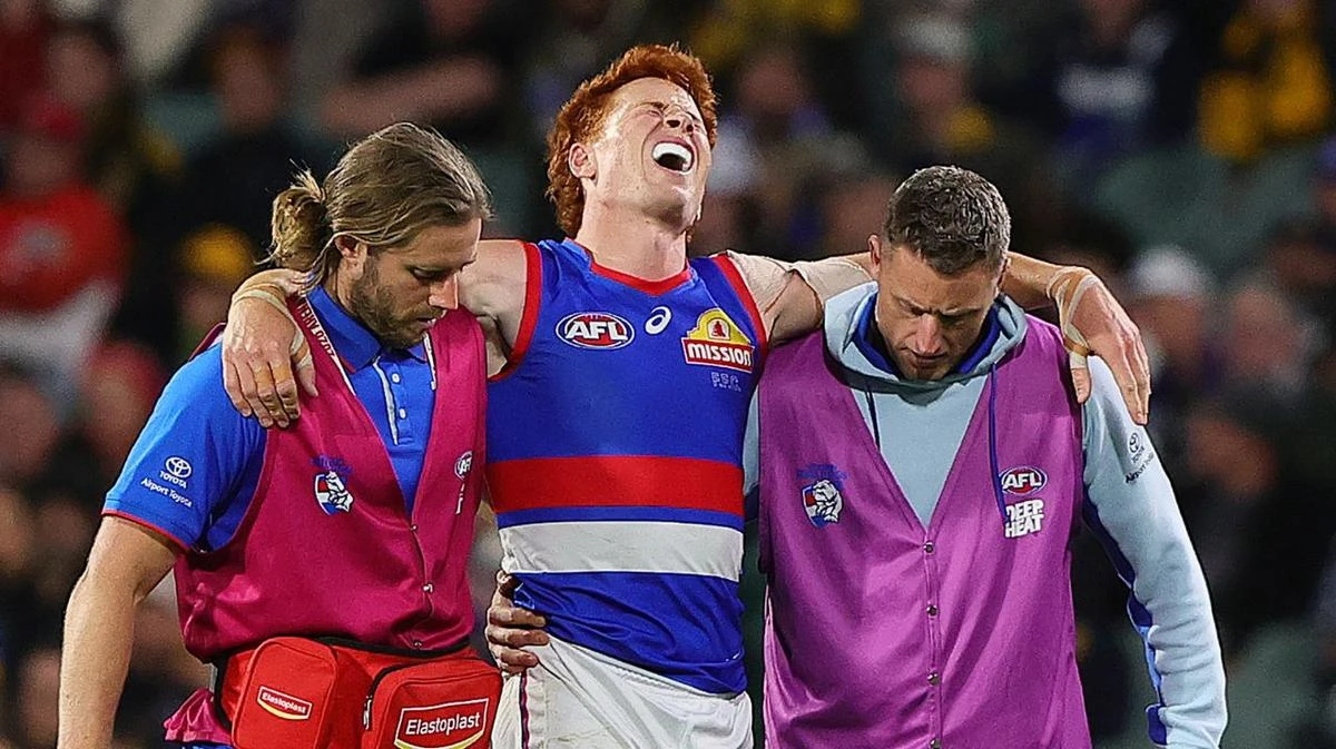 Distressing scenes as star Dog limps off in ‘real trouble’