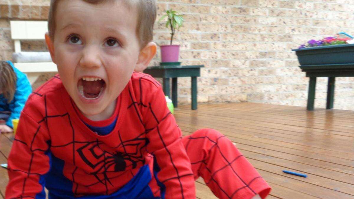 Bombshell police theory outlined as William Tyrrell inquest resumes