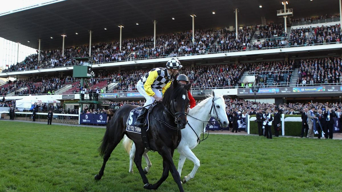 Legendary Australian racehorse passes away aged 19