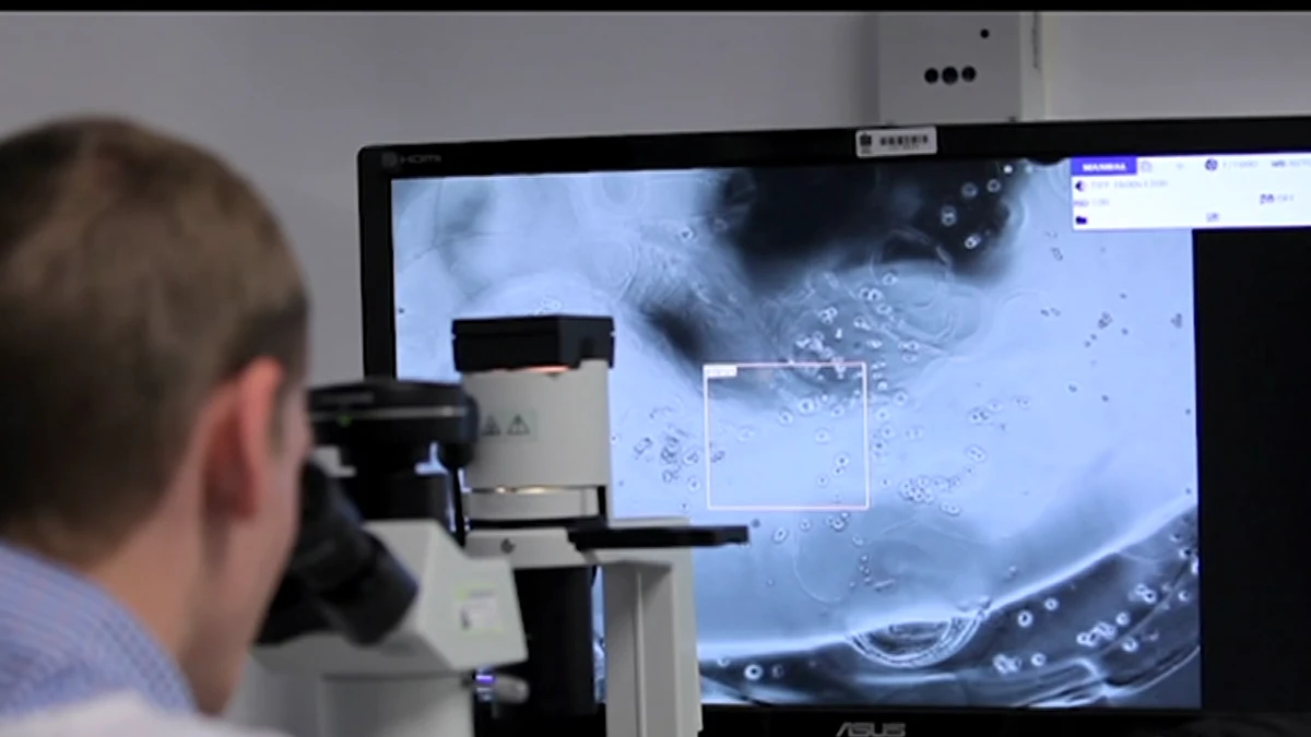 Scientists probe link between modern diets and bowel cancer