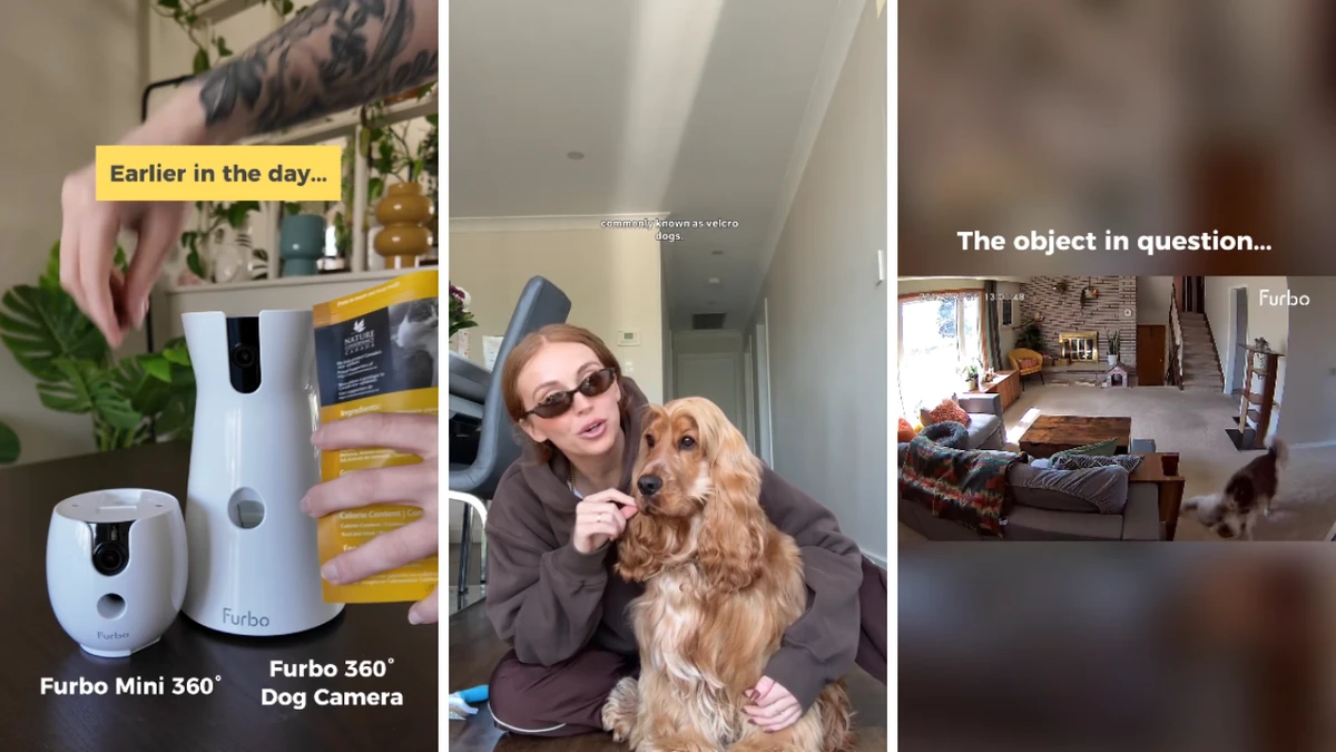 Viral dog camera that calms barking pups is now half price: ‘It gives me peace of mind’