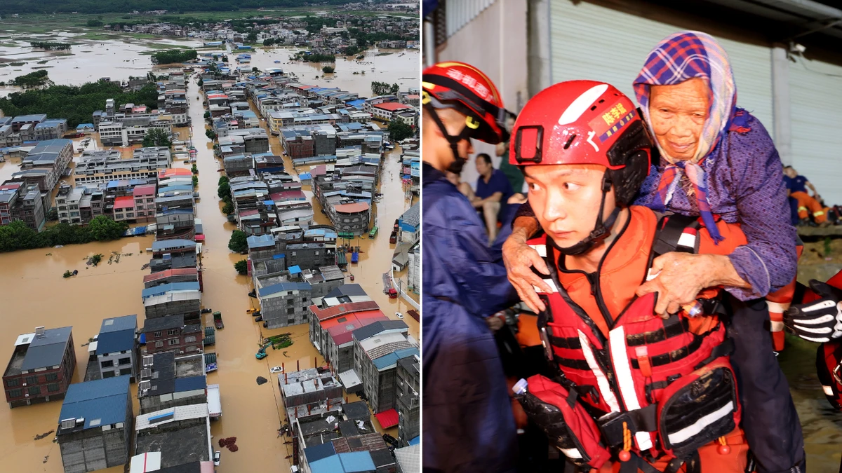 Seventeen dead, snakes freed in freak flooding