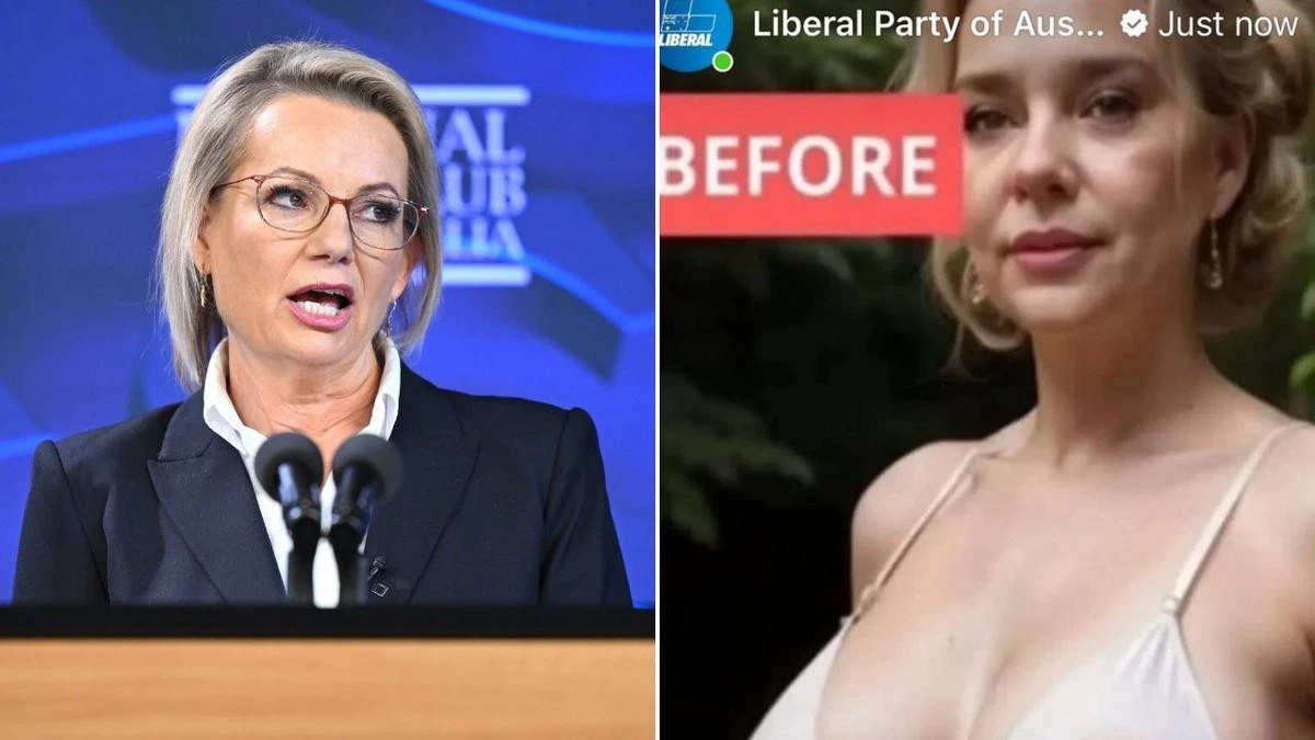 Explicit images posted to Liberal Party’s social media during hack