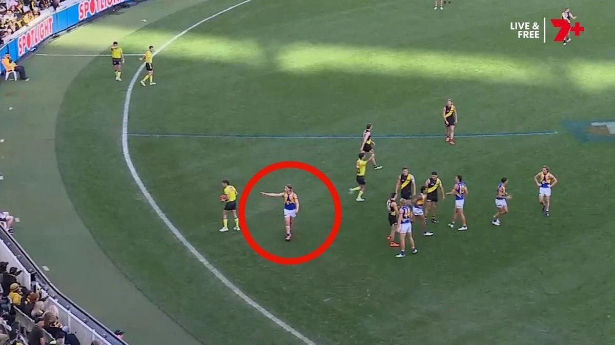 Harley Reid urged to shift ‘mindset’ after latest fan incident