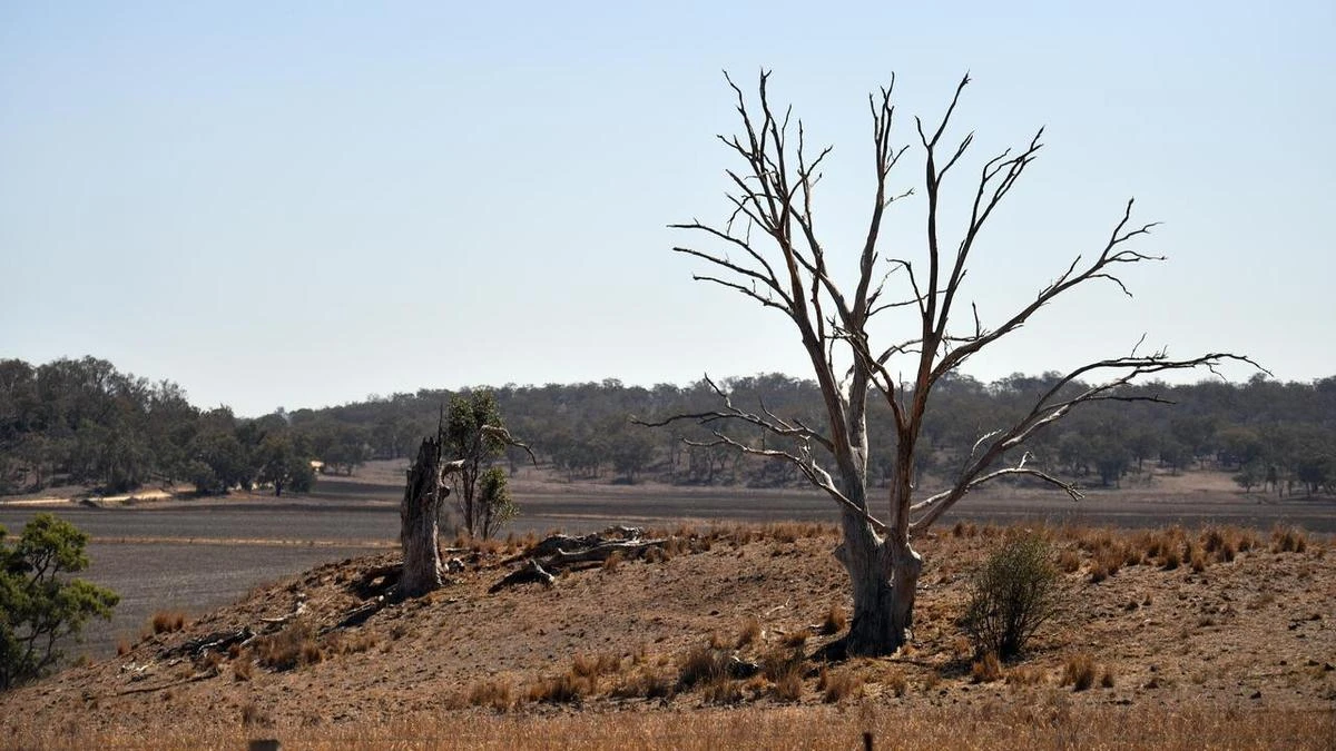 NSW budgets $64m for drought strategy