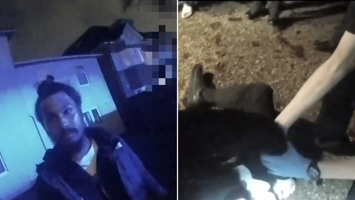 Shocking video exposes lies in UK student's death
