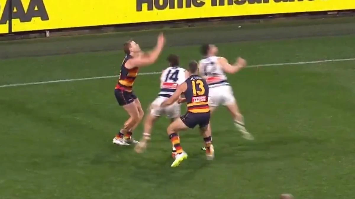 Taylor Walker banned for dangerous act on Geelong youngster