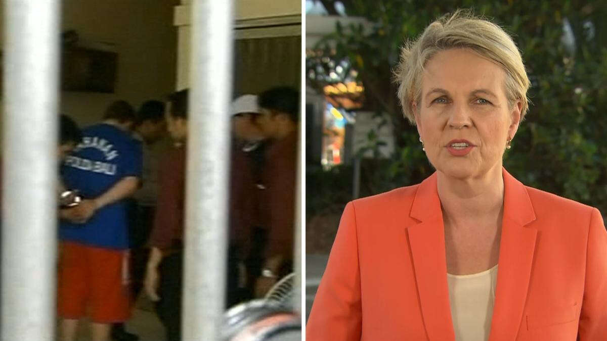 Albanese minister Tanya Plibersek dodges crucial question on Bali Nine return