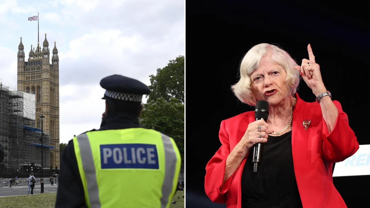 UK party calls for 'full security' for MPs after murder
