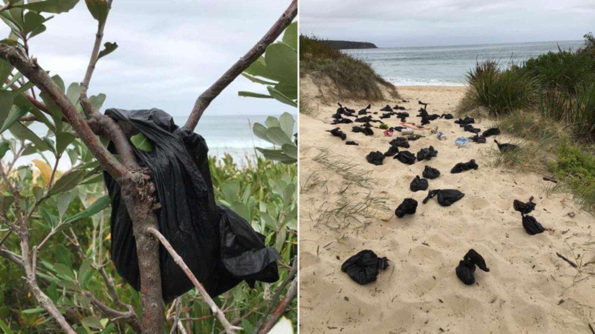 ‘Disgusting’ discovery on NSW beach leads to $275 fine