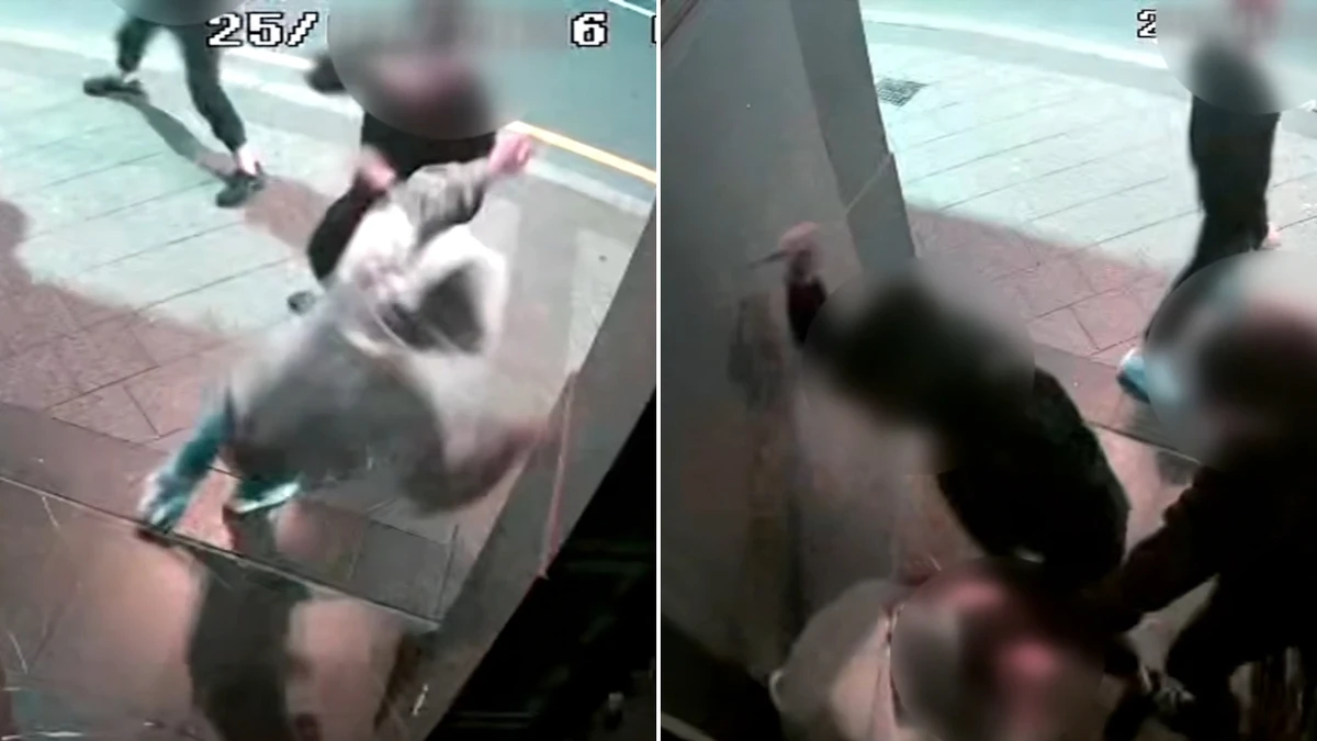 Disturbing footage shows teen stabbed in brutal attack