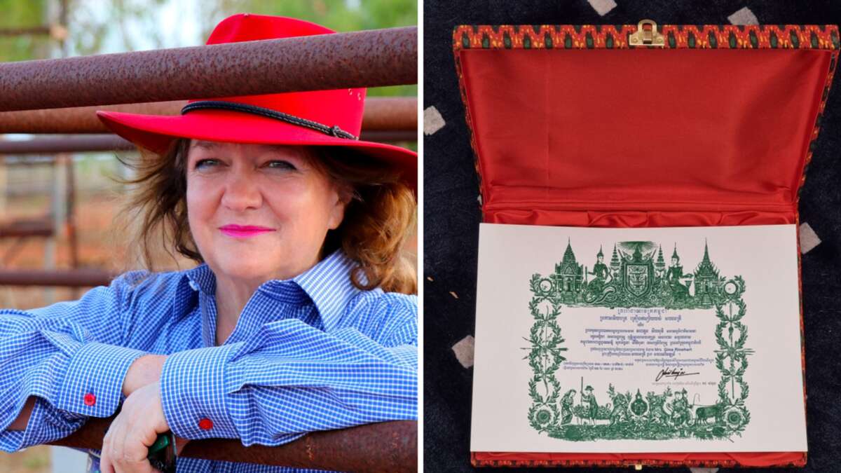 Gina Rinehart honoured by for charity work