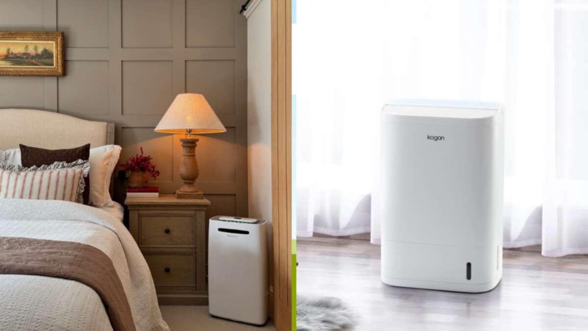 The affordable dehumidifier you’ll want to get your hands on this summer