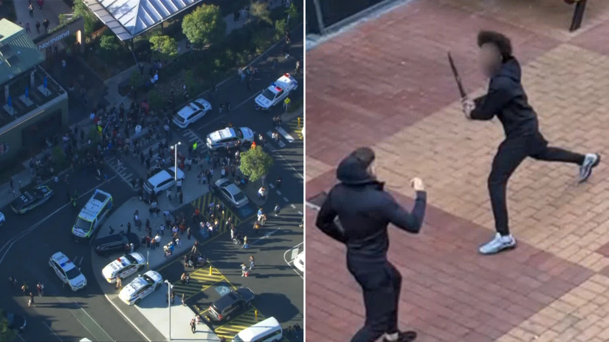 Bail bombshell after teens allegedly storm shopping centre with machetes