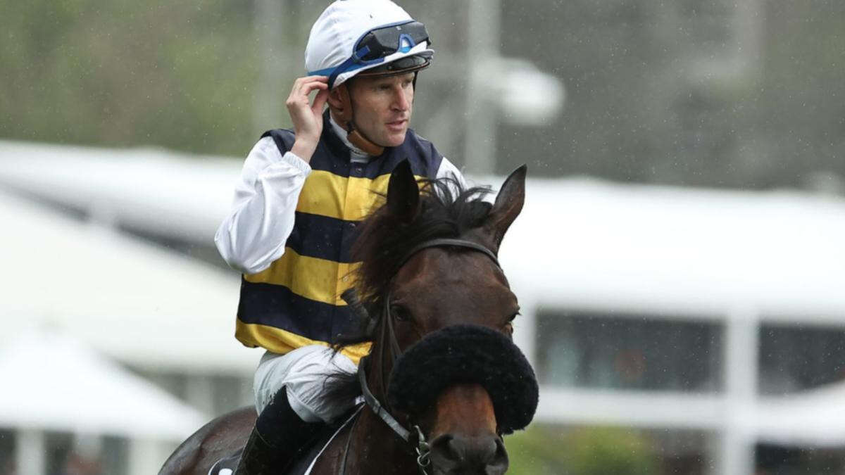 Melbourne Cup hopeful forced to withdraw with heart issue