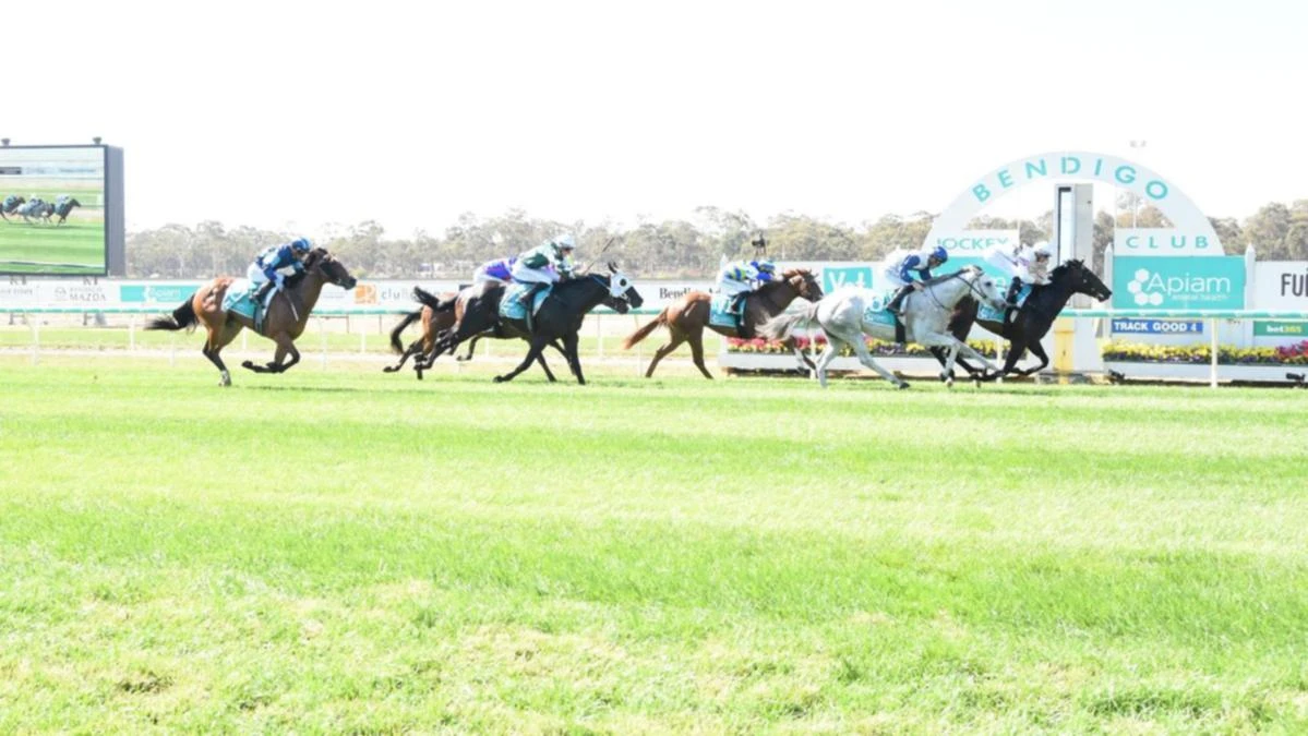 Racing world ‘devastated’ by freak death of much-loved stablehand