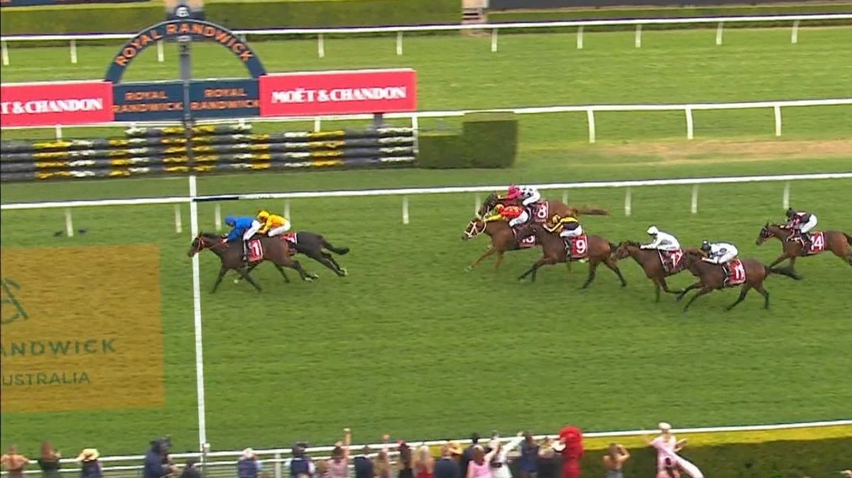 Attica storms home to pip favourite in Randwick stunner