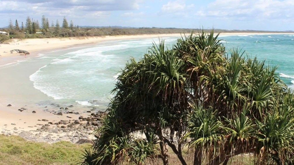 Teenage boy bitten by shark in NSW