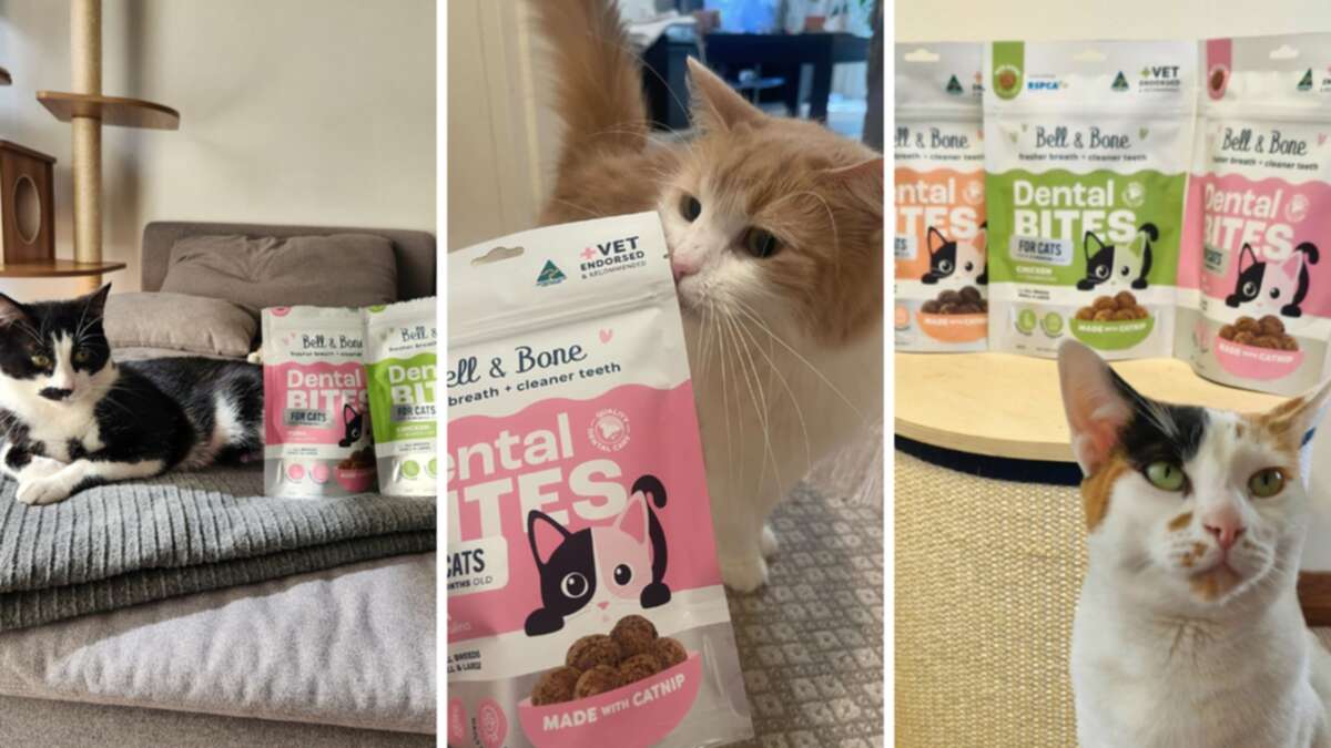 The genius product is helping solve a problem 70 per cent of cats have